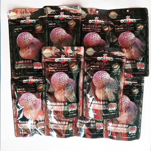 Okiko alimento pesce ciclide - pesce,