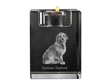 Pyrenean Hound, Pastore Dei