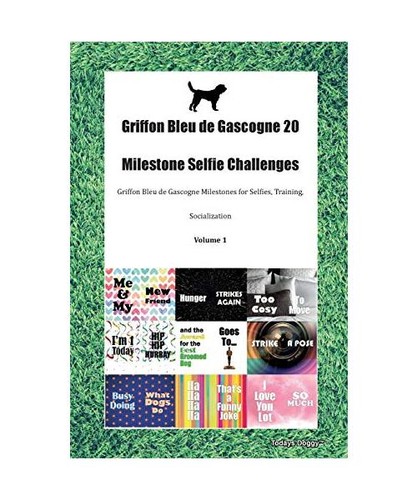 Griffon bleu gascogne 20 - bleu,