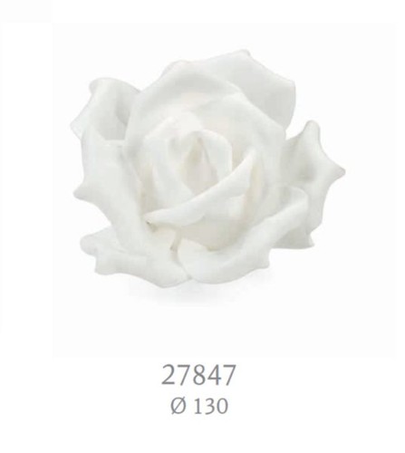 Pezzi rosa bianca - rosa,