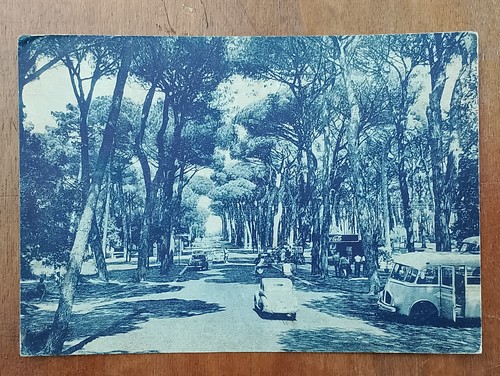 Fregene viale della pineta - fregene,