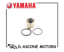 KIT REVISIONE PINZA FRENO