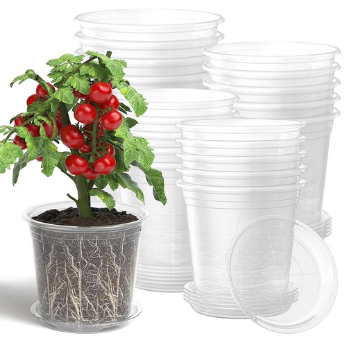 Vaso per piante trasparente - per,