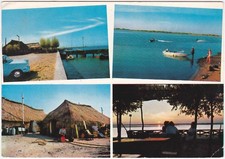 BIBIONE PINEDA - VENEZIA - IL