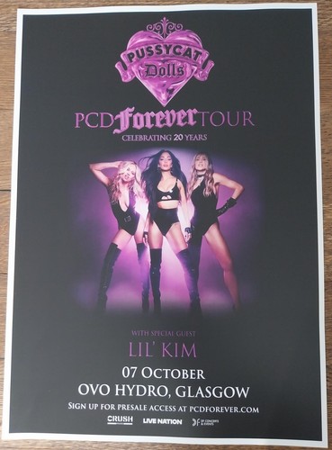 The pussycat dolls live band - pussycat,
