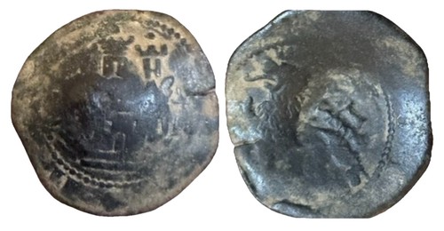 Rarissima pannocchia spagnola