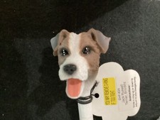 JACK RUSSELL  BRN ROUGH COAT