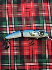 Esca muschiata Harvey