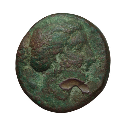 Ae20 agatocles siracusa - ae20,