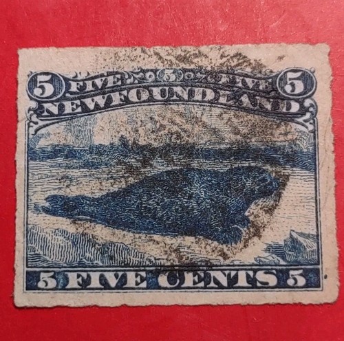 Newfoundland issue 1876 harp - newfoundland,, 1876,harp
