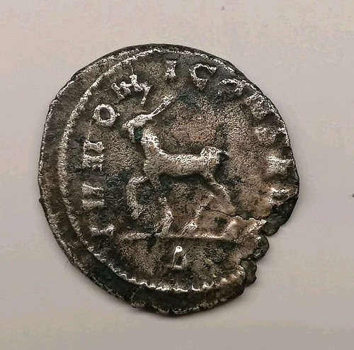 Antoniniano salonina - di,
