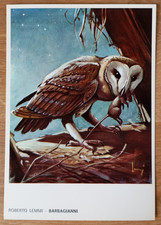 CARTOLINA BARBAGIANNI CACCIA ROBERTO LEMMI CACCIATORE EDITORIALE OLIMPIA