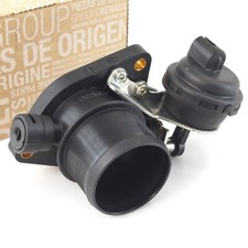 Originale Renault Corpo