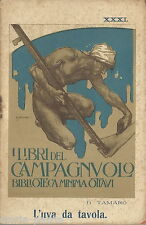 AGRICOLTURA_VITICOLTURA_ENOLOGIA_VINI_UVA DA TAVOLA_SERRE_TAMARO_STAGLIANO_1911