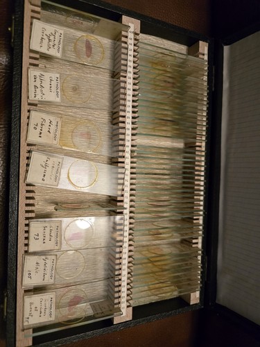 Scivoli patologici vintage