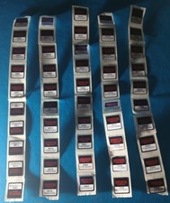 Bollini Conad 50 Unità +