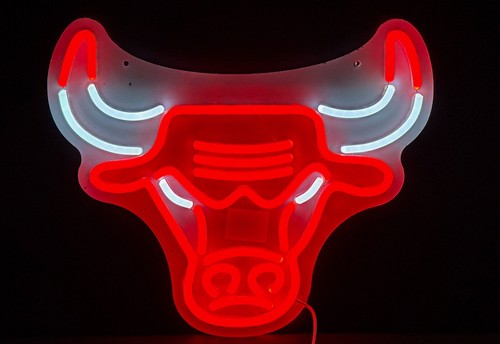 Chicago bulls sports man - 🏀chicago,