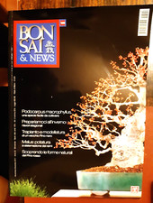 BONSAI & NEWS - NOVEMBRE /