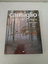 CANSIGLIO-LE MUSICHE SILENTI DELLA FORESTA-PAOLO TOFFOLI-FOTOGRAFICO