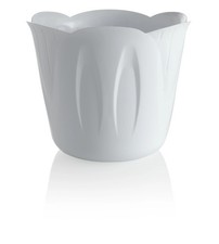 PORTAVASO MIMOSA D. 15 B.CO