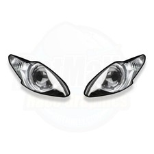 Wsb Fari Adesivi - Triumph