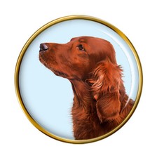 Cane Setter Irlandese Rosso