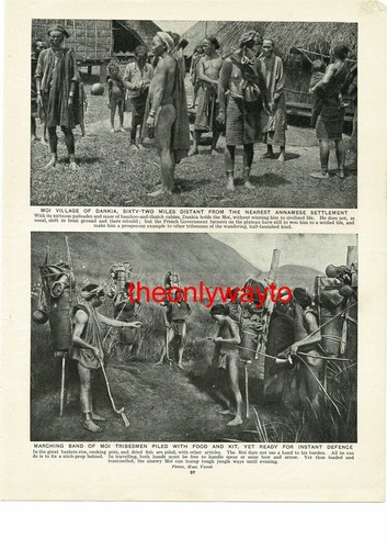 Moi village dankia - moi, &
