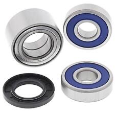 Set Cuscinetti Ruota Posteriori per Indiano Chief Vintage Chieftain Roadmaster