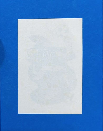 Figurina calciatori panini - calciatori,
