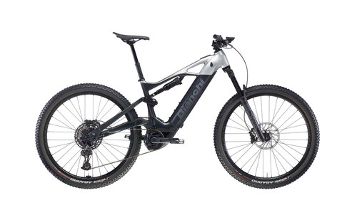 Bianchi vertic type 9 1 - bianchi, e-vertic