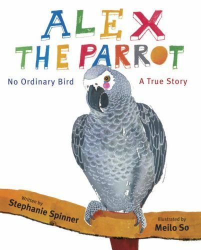 Alex the parrot no ordinary - :,