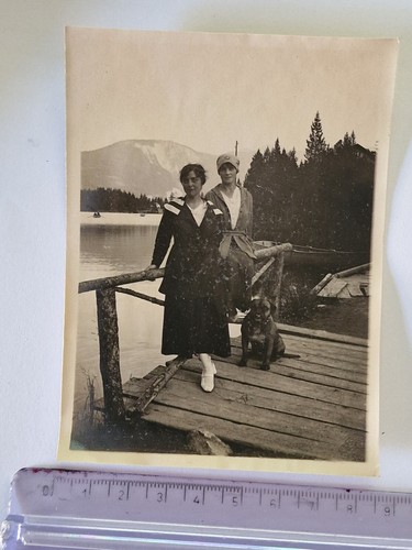 Foto ritratto ragazze cane - ritratto,