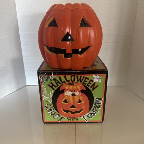 Zucca halloween con - zucca, di