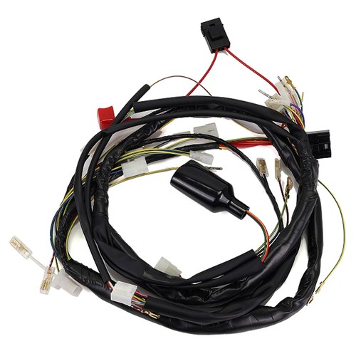 Impianto elettrico completo - elettrico,