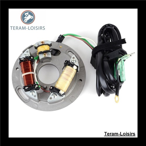 Stator alternateur pour - stator,
