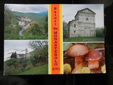 20145) PROVINCIA CUNEO SALUTI DA MONASTEROLO VEDUTE CHIESA FUNGHI PANORAMA
