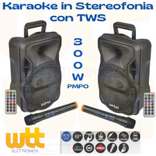 Coppia casse amplificate