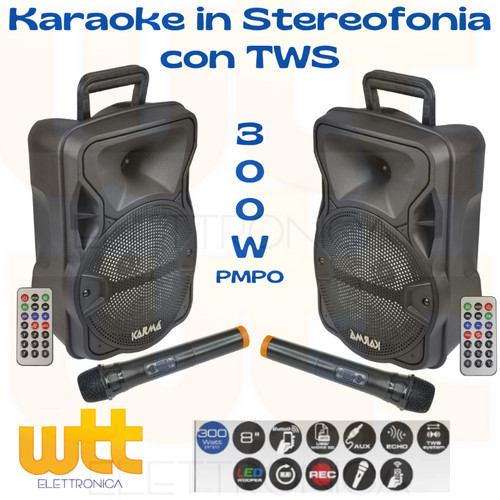 Coppia casse amplificate