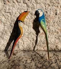 Coppia uccelli esotici, tucano