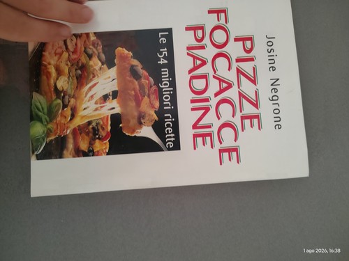 Pizze focacce piadine
