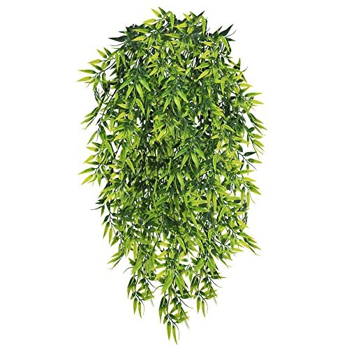 Rollway pezzi piante - pezzi,