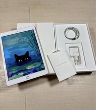 Apple iPad 6a Generazione