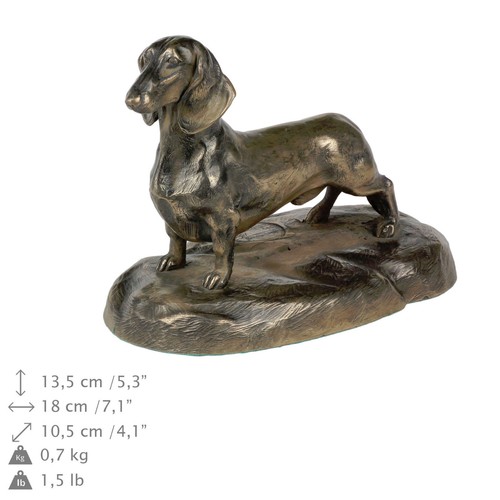 Bassotto busto statua cane - bassotto,, busto/statua