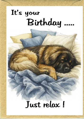 Biglietto compleanno cane