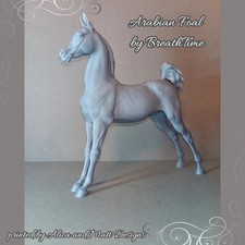 Puledro arabo di BreathTime