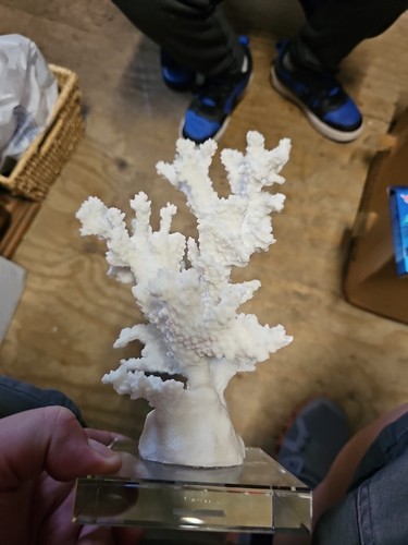 Scultura corallo bianco - bianco, con