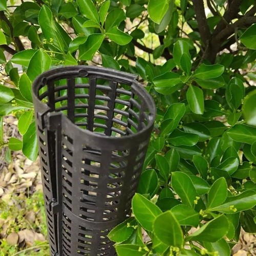 Protezione tronco pvc - tronco,