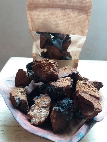 Brocchi fungo chaga - di,