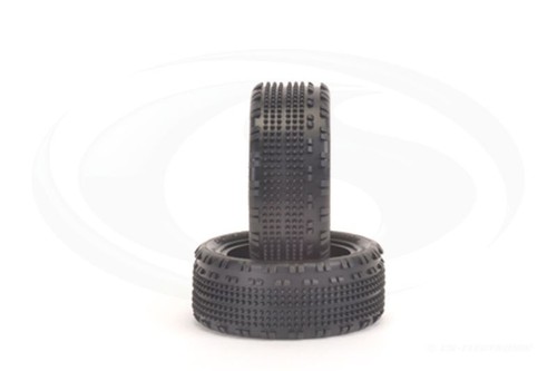 Schumacher cactus fusion 10 - cactus,