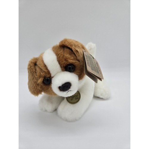 Jack russell terrier - terrier, peluche